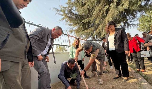 Yeşil vatan için Toroslar MESEM’de fidanlar toprakla buluştu