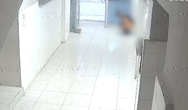 Akdeniz’de Apartman Girişinde Şok Olay