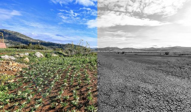 Mersin Büyükşehir’den İklim Mücadelesinde Öncü Adımlar