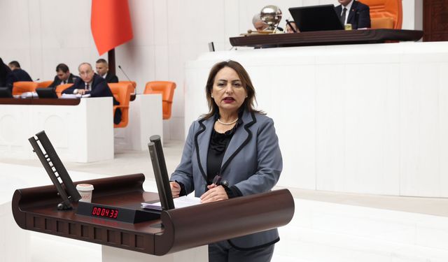 CHP’li Şevkin: “Vatandaş, KOBİ, çiftçi borç batağında!”