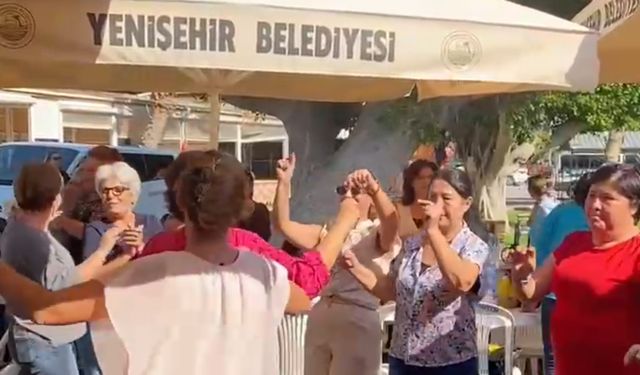 Yenişehir'de Kadınlar Dayanışma Pikniğinde Buluştu