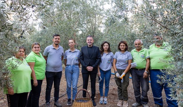 Mezitli’de Zeytin Hasadıyla Kız Çocuklarına Umut Oluyorlar