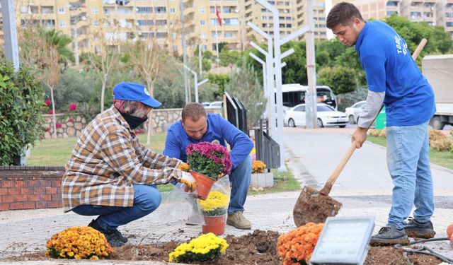Toroslar Sonbahara Kasımpatılarla Renk Kattı