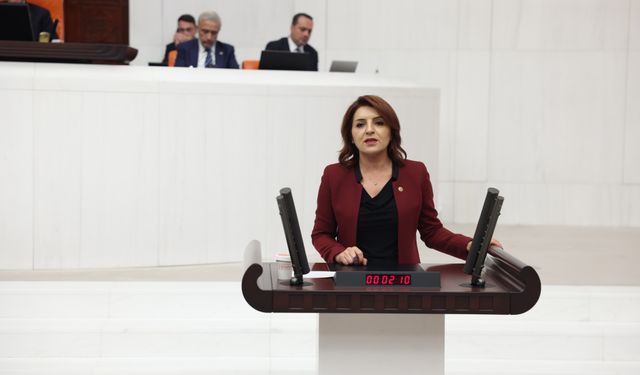 Gülcan Kış: “Beyin Göçü Bu Ülkenin Ayıbıdır”