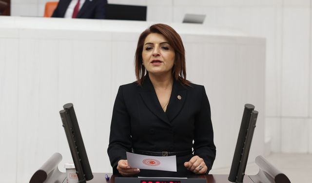 CHP’li Gülcan Kış: “Bu Ülke Borç Ekonomisiyle Yönetiliyor”