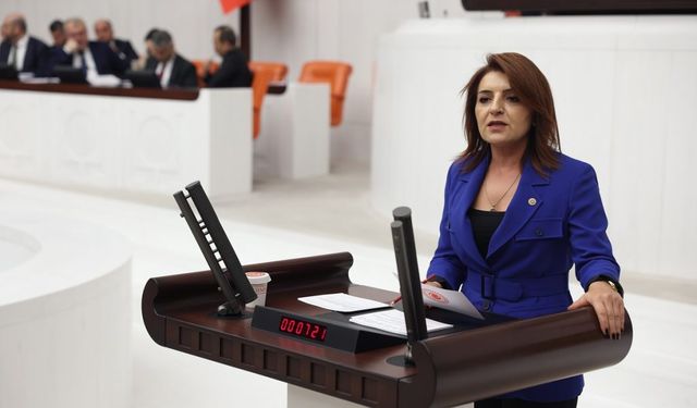 Gülcan Kış: “Bu Enkazın Adı Enflasyon Ekonomisi!”