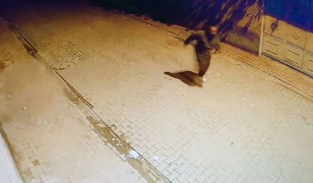 Adana'da evin camlarına taş atıp kaçtı: O anlar kamerada