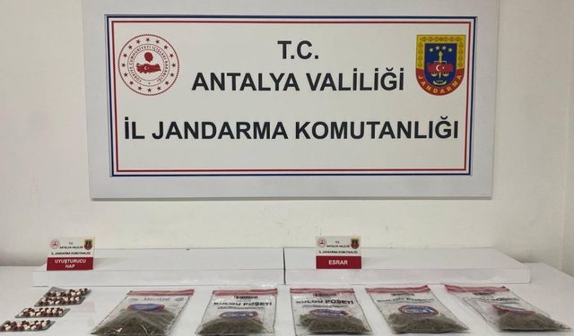 Alanya'da jandarmadan uyuşturucu operasyonu
