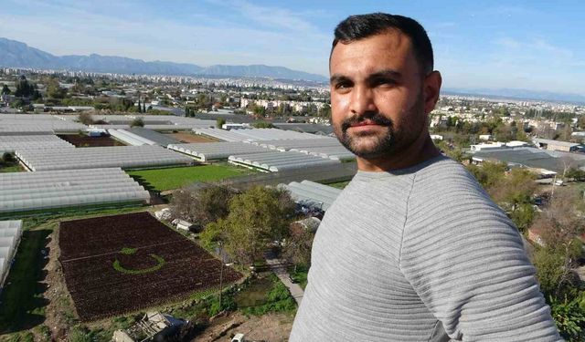 Antalya'da çiftçiler 1,5 dönümlük tarlaya 13 bin marulla Türk bayrağı deseni oluşturdu