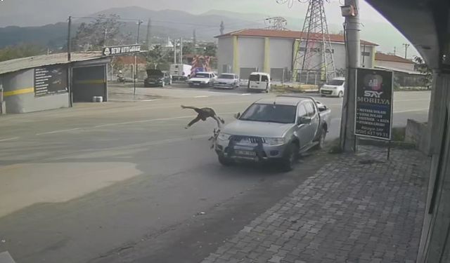 Ciple çarpışan motosikletin sürücüsü metrelerce savruldu