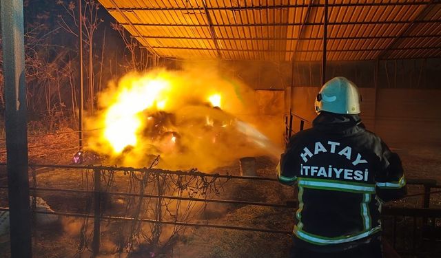 Defne'de samanlık yangını