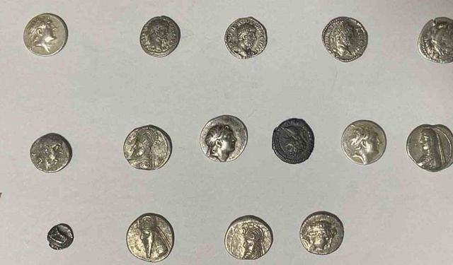 Hatay'da 26 sikke kargo ile göndermek üzereyken ele geçirildi