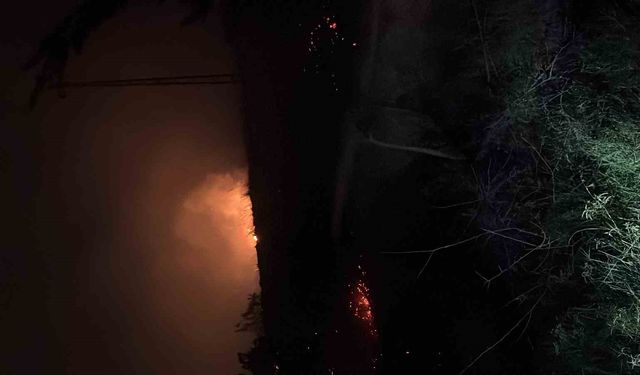 Hatay'da çıkan otluk yangını söndürüldü