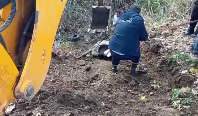 Hatay'da dereye düşen inek itfaiye ekipleri tarafından kurtarıldı
