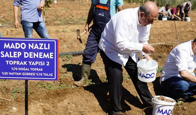 MADO'dan 'Salep Manifestosu'