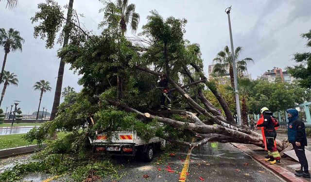 Mersin’de Ağaç 3 Aracın Üzerine Devrildi