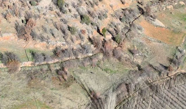 Nurhak'ta yaban domuzu avı yapıldı