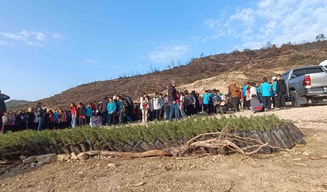 Öğrenciler, orman yangınında zarar gören alana fidan dikti