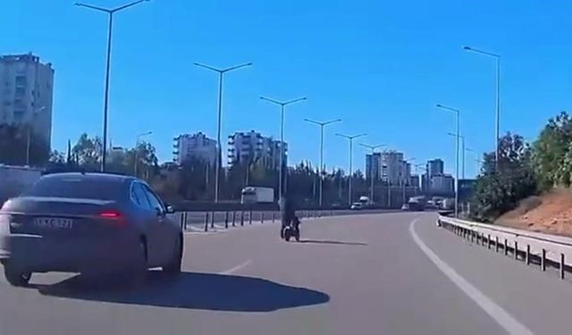 Otoyolda bisikletli tehlikesi: Kazaya ramak kaldı