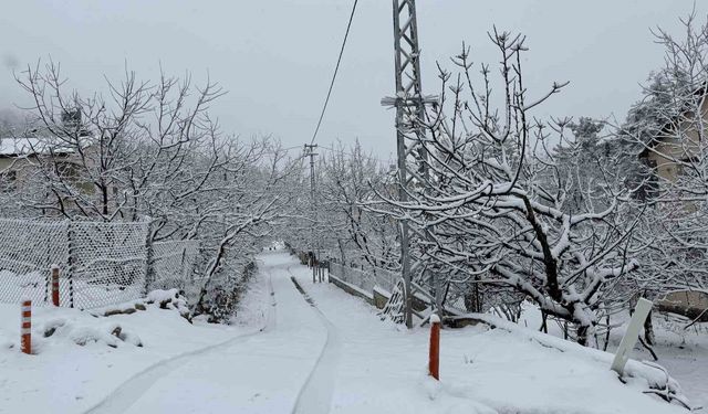 Yaz şehri Mersin'de kar birçok mahalleyi beyaza bürüdü