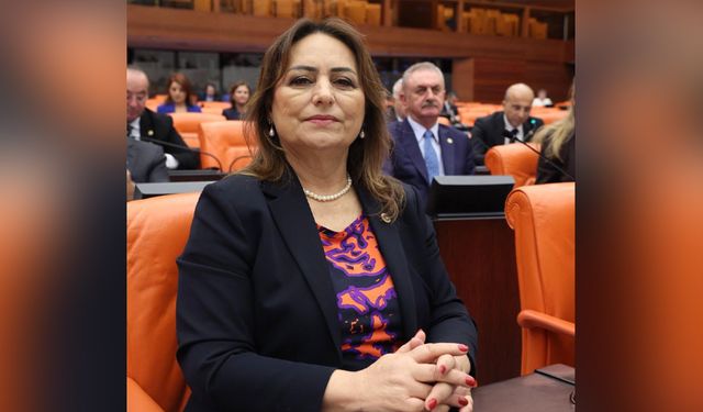 Şevkin’den Meclis’te Yüreğir Çağrısı