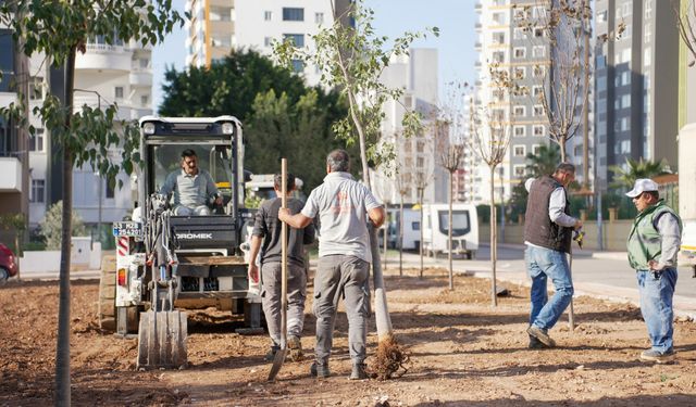 Mezitli’ye yeni yeşil alanlar kazandırılıyor