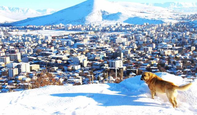 Afşin'de kar sonrası manzara hayran bıraktı