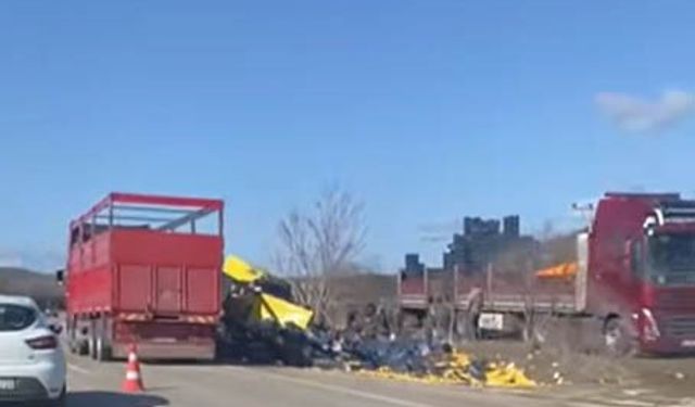 Burdur'da limon yükü tır şarampole devrildi