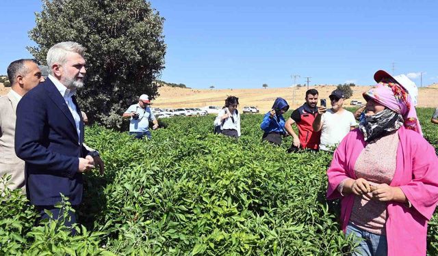 Kahramanmaraş Büyükşehir'den 2025'te çiftçiye 100 milyonluk destek