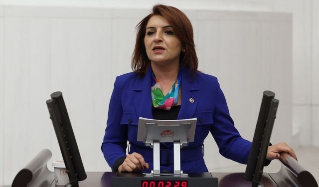 CHP’li Kış: AKP bütçeyi delik deşik etti, bedelini halka ödetiyor