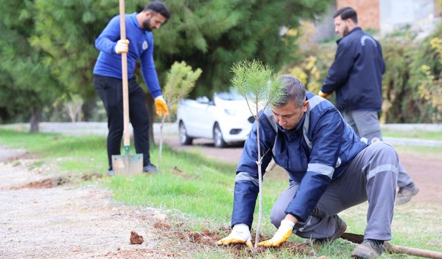 Başkan Yıldız: Doğayla İç İçe Bir Toroslar İnşa Ediyoruz