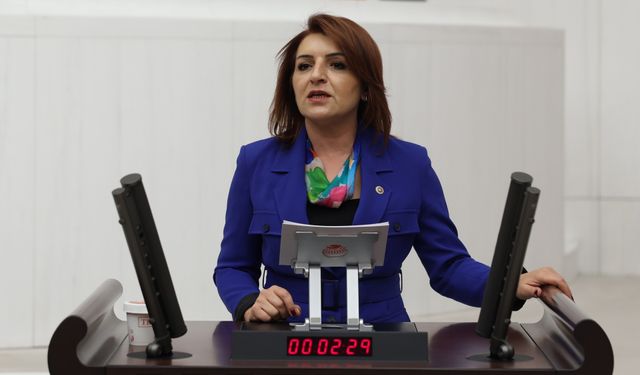 Gülcan Kış: Belediyelere Çifte Standart Var