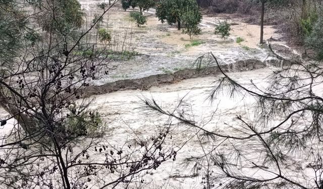 Adana'nın kuzey ilçelerinde sağanak taşkınlara neden oldu