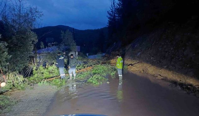 Antalya Gündoğmuş'ta dereler taştı, piknik alanları su altında kaldı