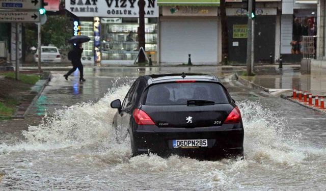 Antalya'da 'Sarı Kod' uyarısı: Rögarlar taştı, telef olmuş dana kıyıya vurdu