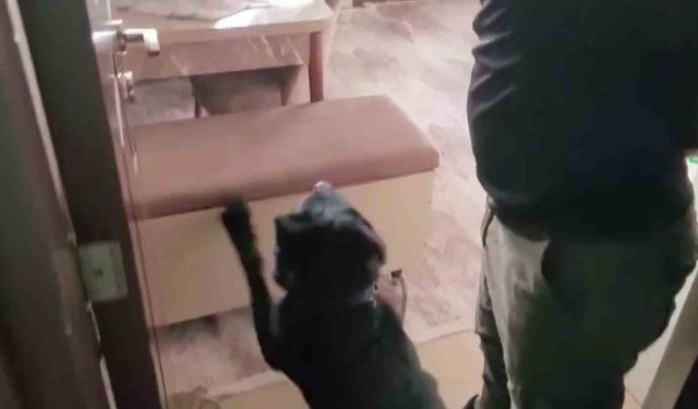 Evindeki sandıktan 814 gram eroin çıktı, 'Satmıyorum, kullanıcıyım' dedi