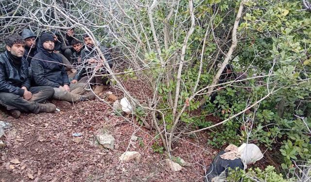 Hatay'da zeytinlik alanda 30 düzensiz göçmen yakalandı