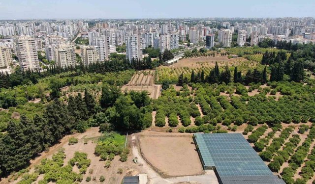Türkiye Antalya Kadar Tarım Alanını Kaybetti!