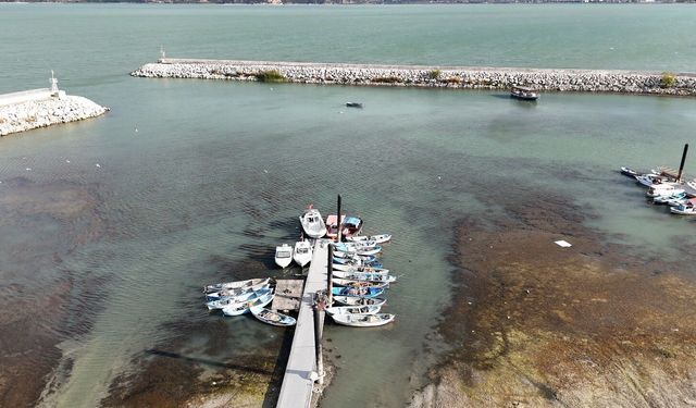 Ziraat Odası Başkanı Selçuk: Eğirdir Gölü'nde Seviye Artıyor