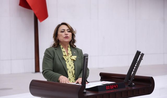 Şevkin’den TBMM’de Diş Hekimi Atama Çıkışı