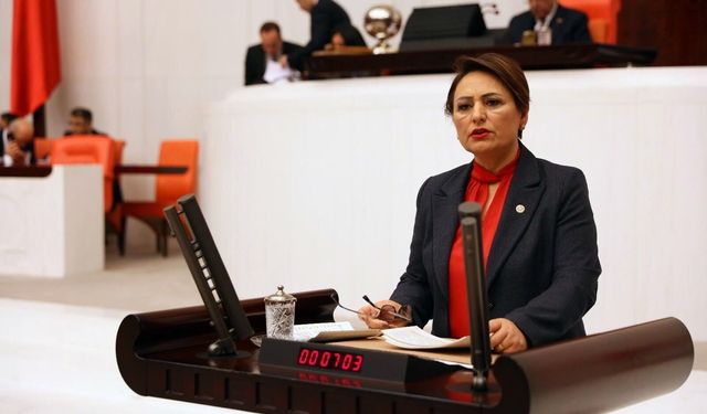 Müzeyyen Şevkin’den Meclis’e "Kadın Cınayetleri" Önergesi