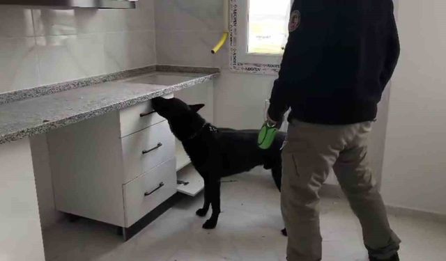 72 bin extacy yakalatıp 'bizim değil' savunması yaptılar