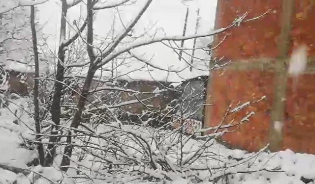 Adana'da Mart ayında kar sürprizi