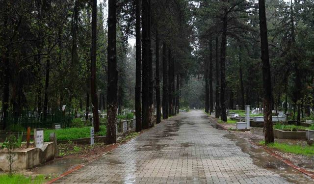 Adana'da şiddetli yağış nedeniyle arife günü mezarlıklar boş kaldı