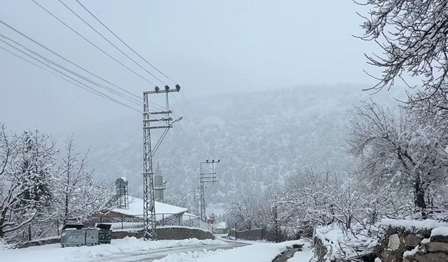 Adana'da yaylalarda kar etkili oldu