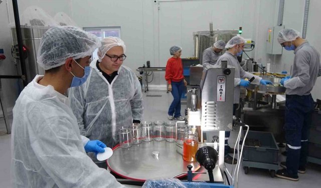 Mersin Balı Dünya Standartlarında