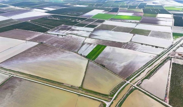 Çukurova'yı yağmur vurdu: Tarım arazileri sular altında