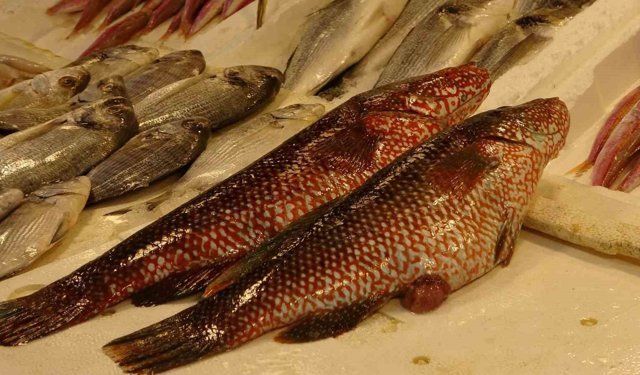 Hint Okyanusu’ndan Mersin Tezgahlarına