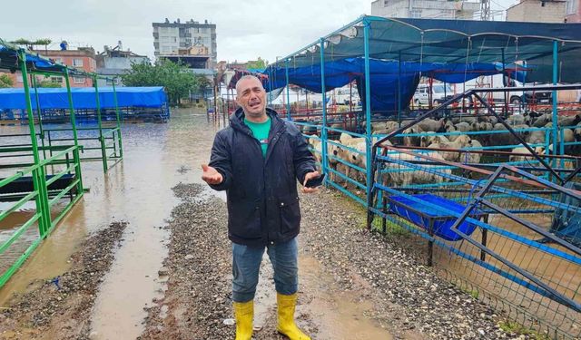 Adana'da kurban pazarını sel vurdu, besici gözyaşlarına boğuldu