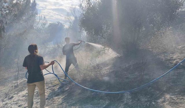 Antalya'da ormanlık alanda yangın